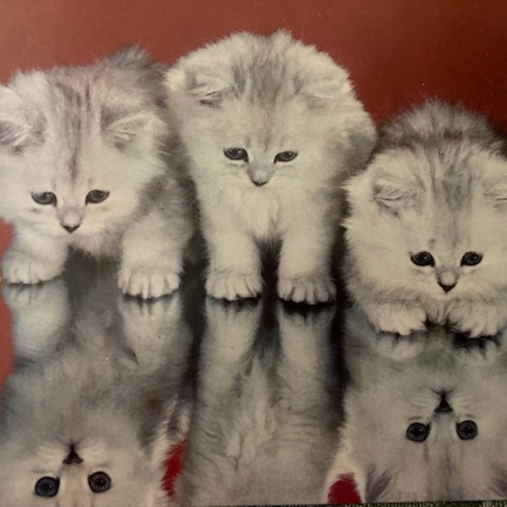 Happy Poshing! Glad you're Here!